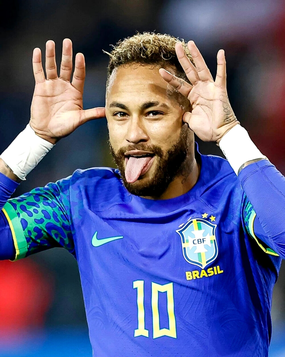 健康生活的 健康生活的